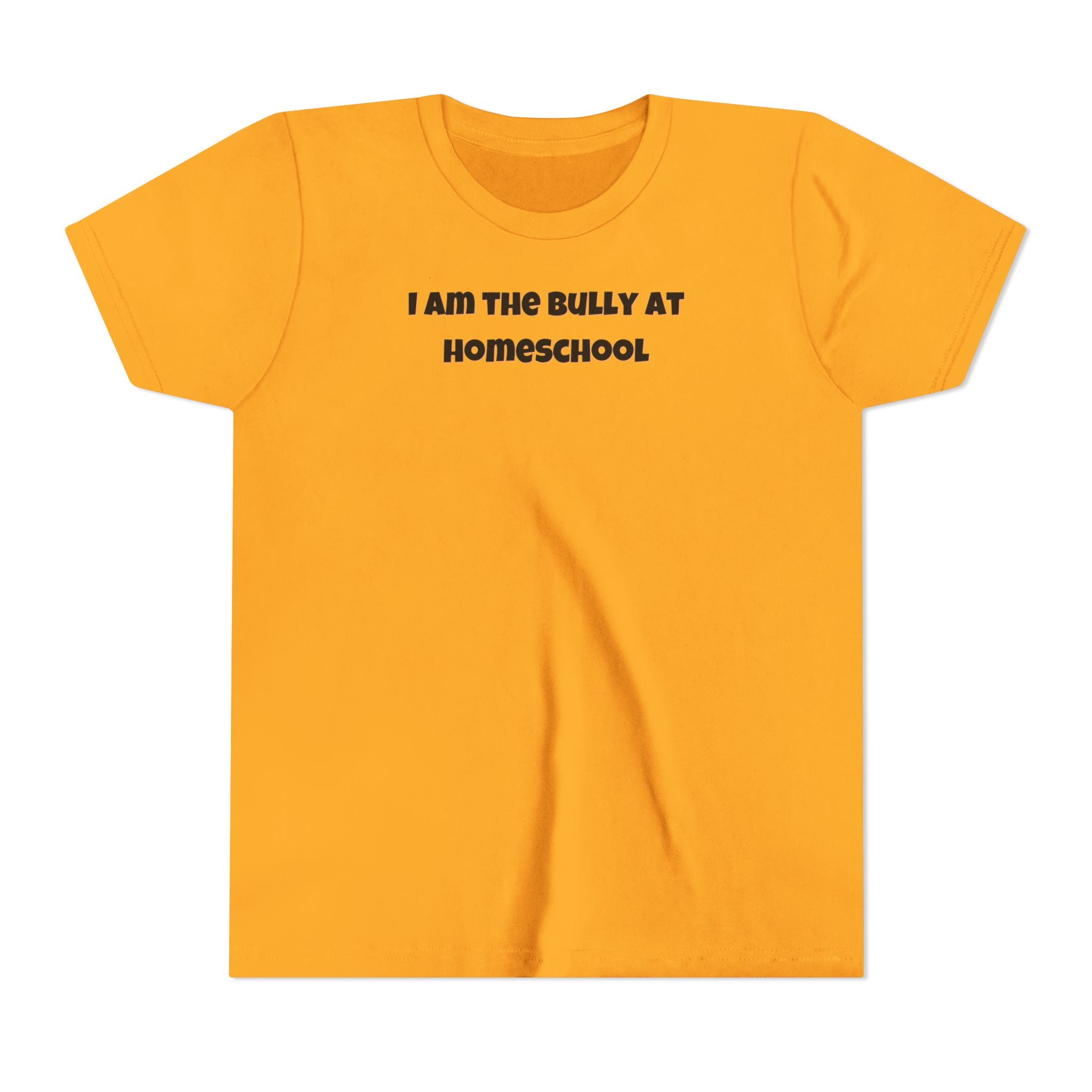 I Am the Bully at Homeschool Youth Short Sleeve Tee | Funny Kids Homeschool Shirt